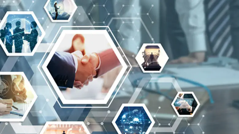 Consultancy & Process Development